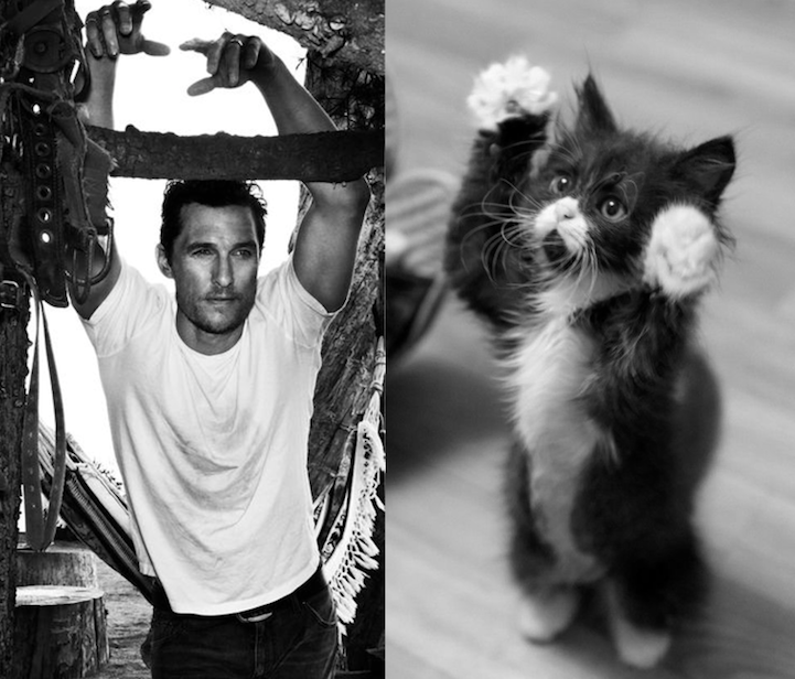 sexy men cute cats 5