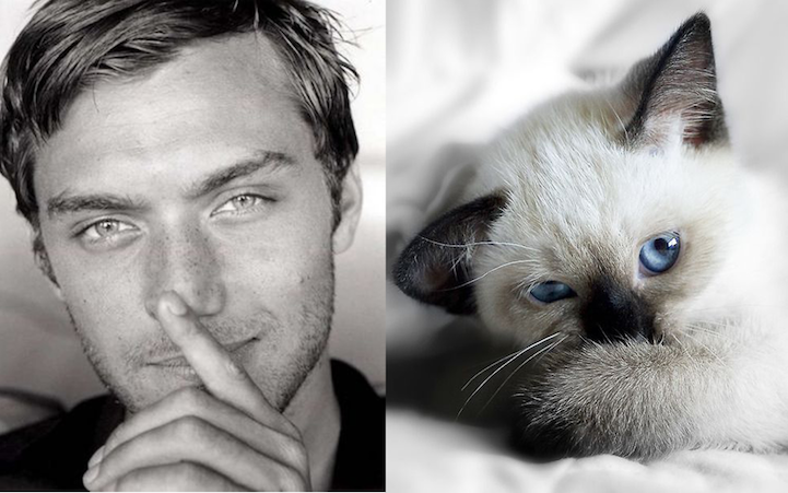 sexy men cute cats 6