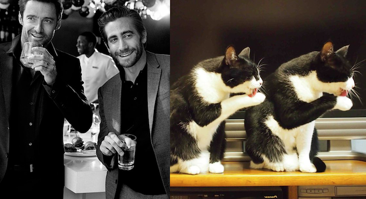 sexy men cute cats 7