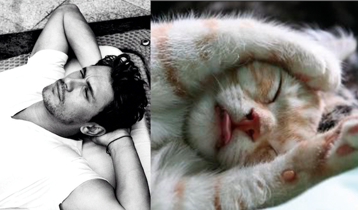 sexy men cute cats 8