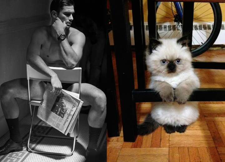 sexy men cute cats 9