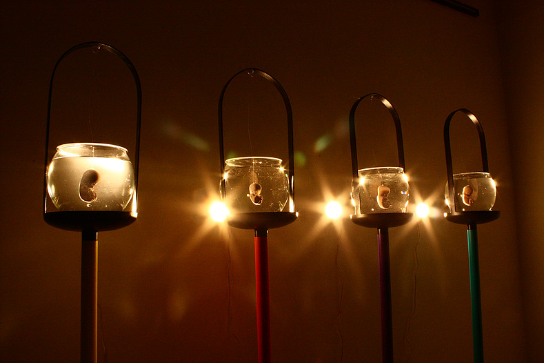 JesuYañes_CI5