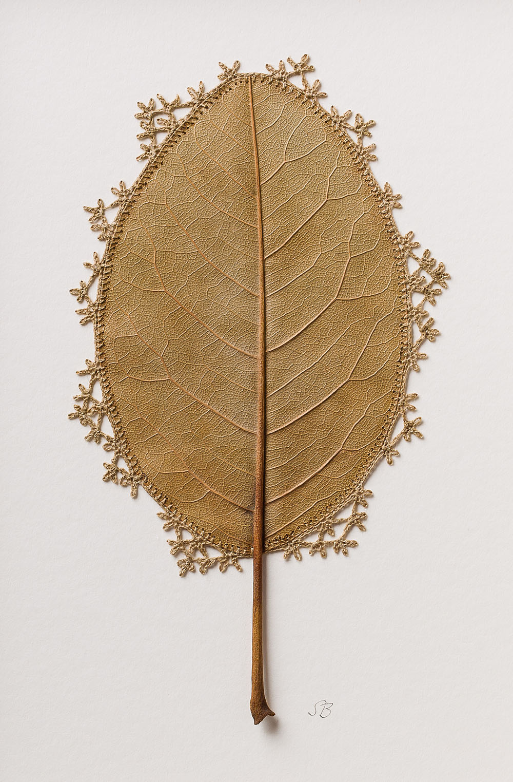 Crocheted Leaf Sculptures Susanna Bauer