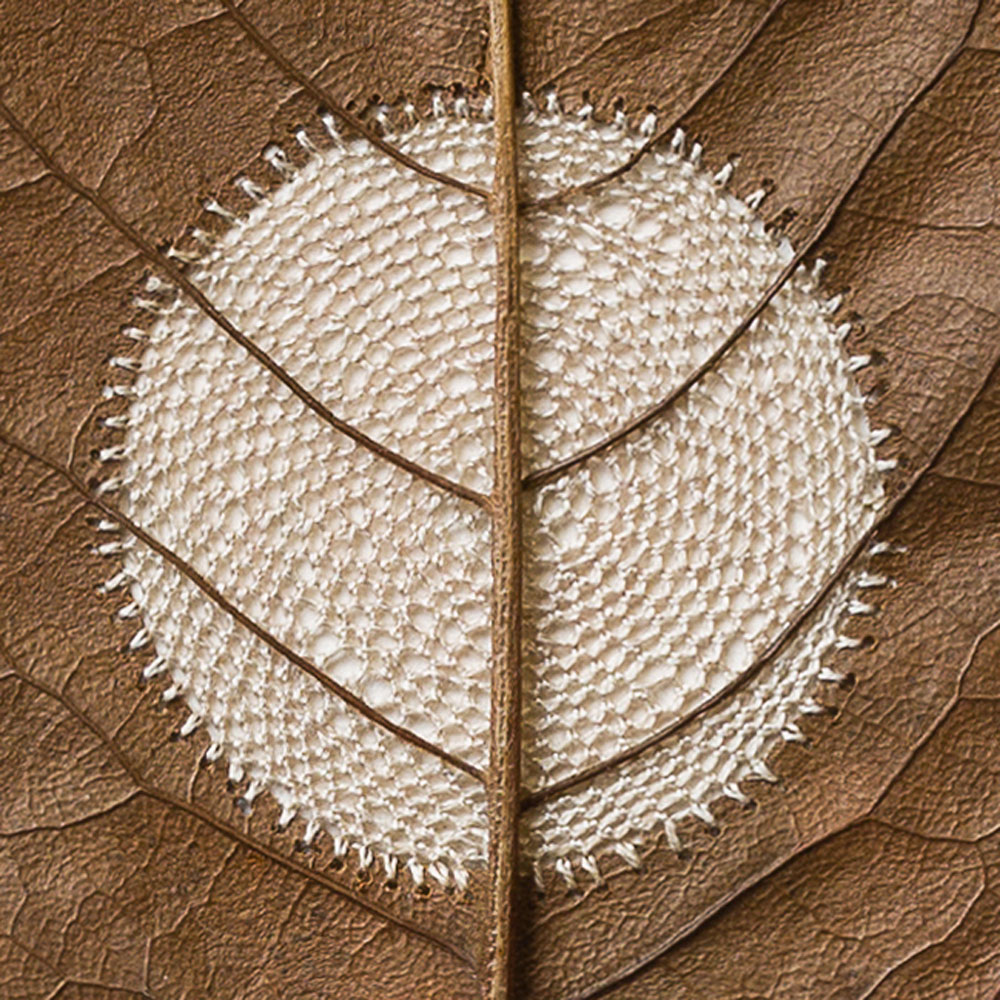 Crocheted Leaf Sculptures Susanna Bauer 10