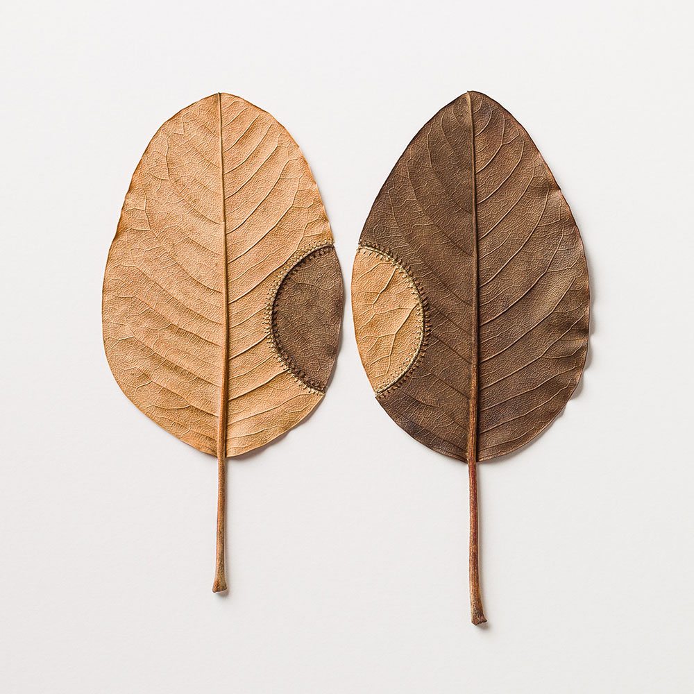 Crocheted Leaf Sculptures Susanna Bauer 13