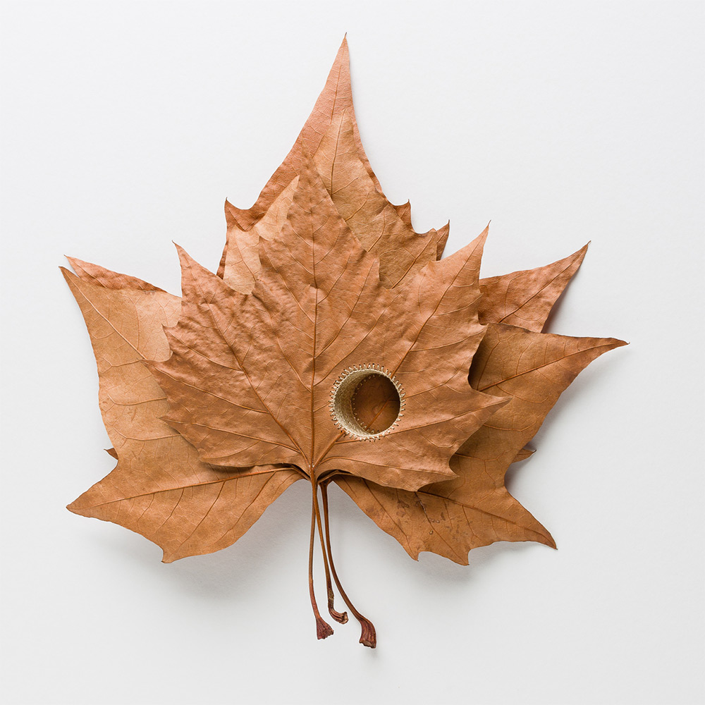 Crocheted Leaf Sculptures Susanna Bauer 20