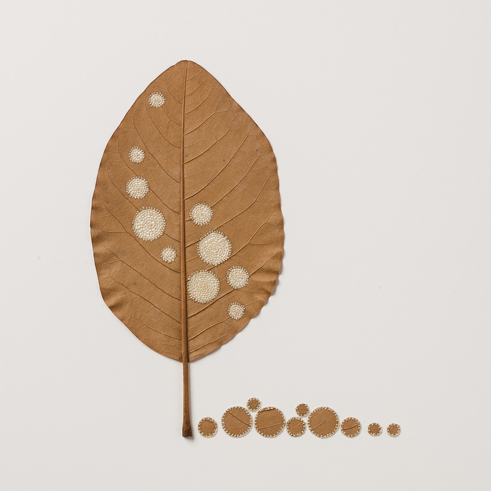 Crocheted Leaf Sculptures Susanna Bauer 24
