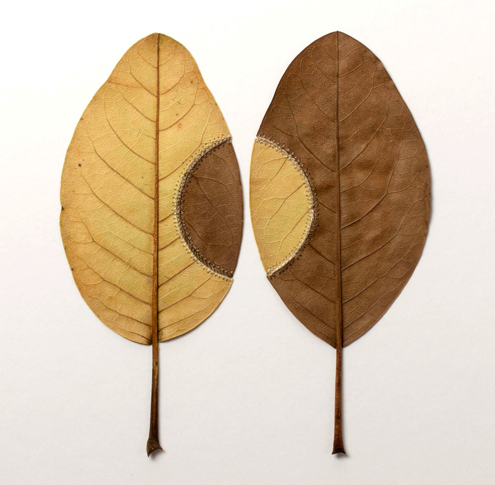 Crocheted Leaf Sculptures Susanna Bauer 25