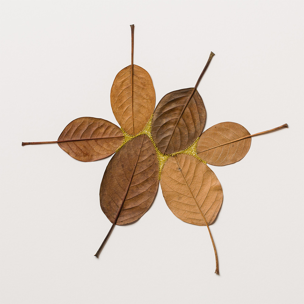 Crocheted Leaf Sculptures Susanna Bauer 27