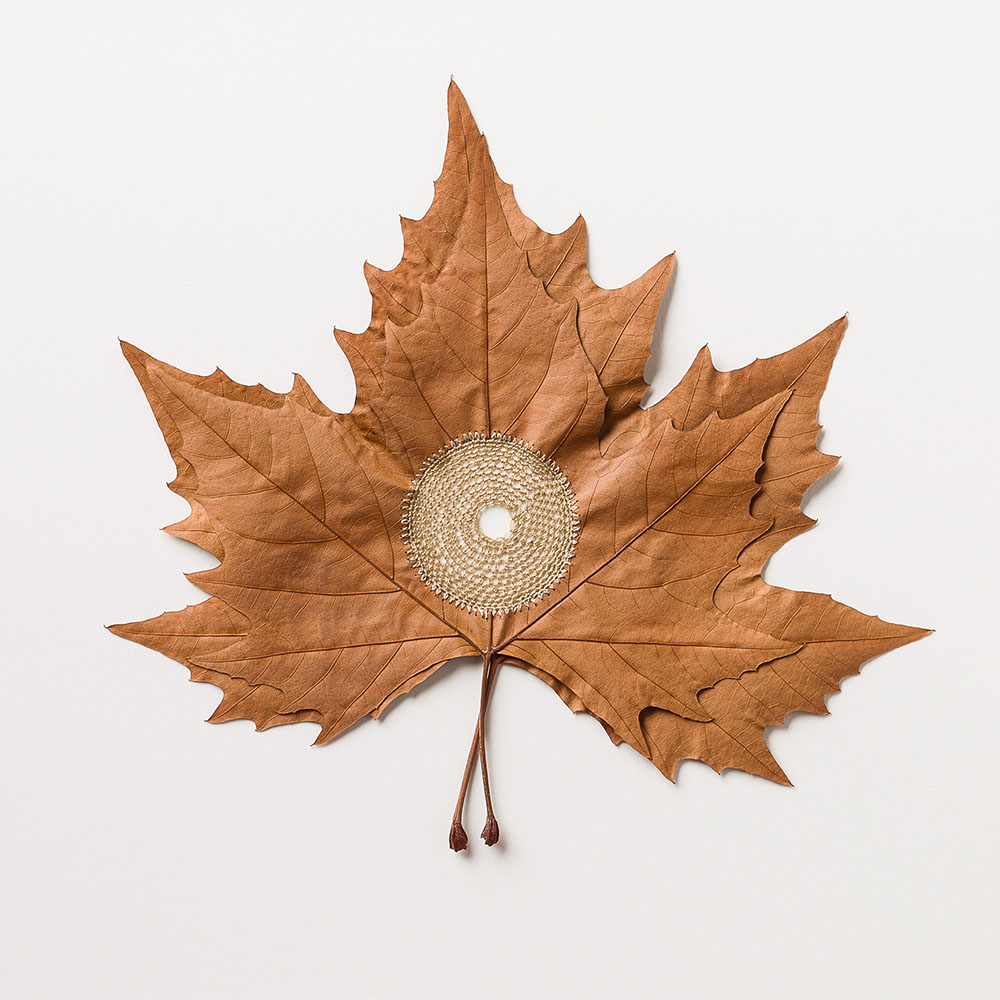 Crocheted Leaf Sculptures Susanna Bauer 4