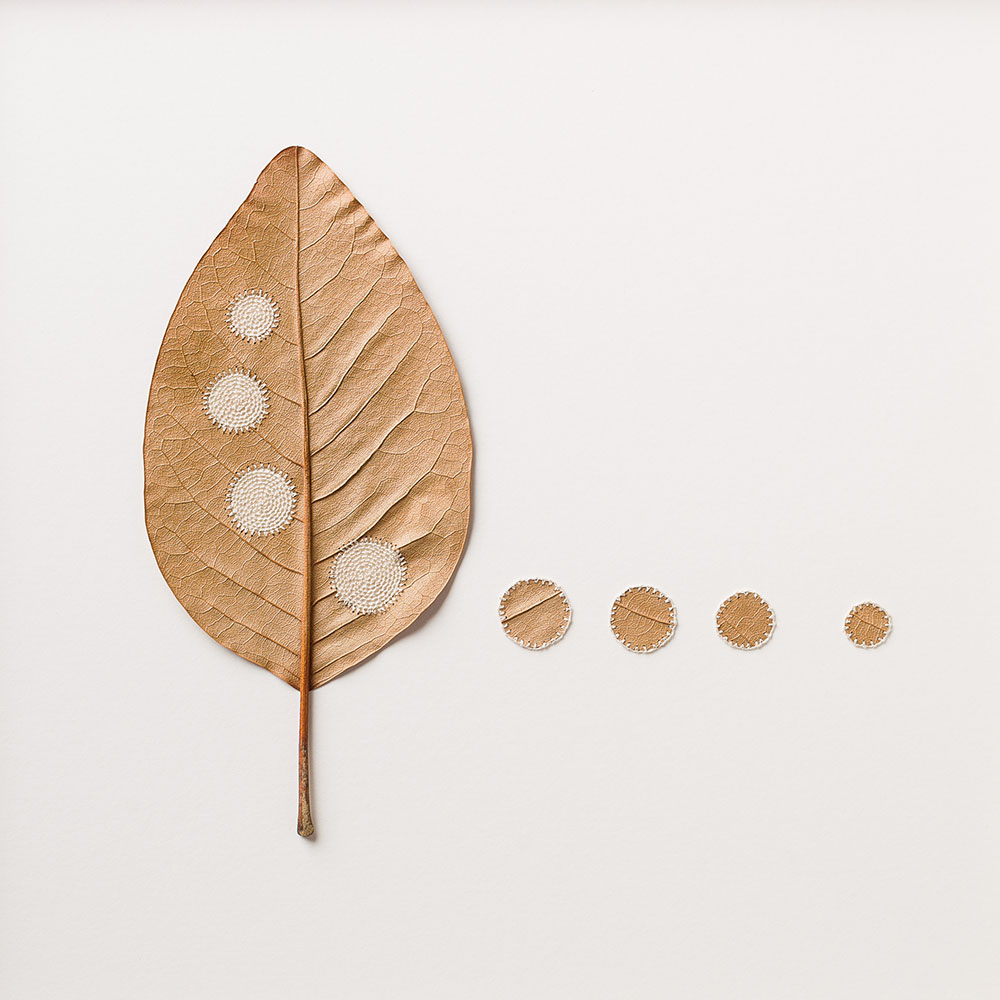 Crocheted Leaf Sculptures Susanna Bauer 5