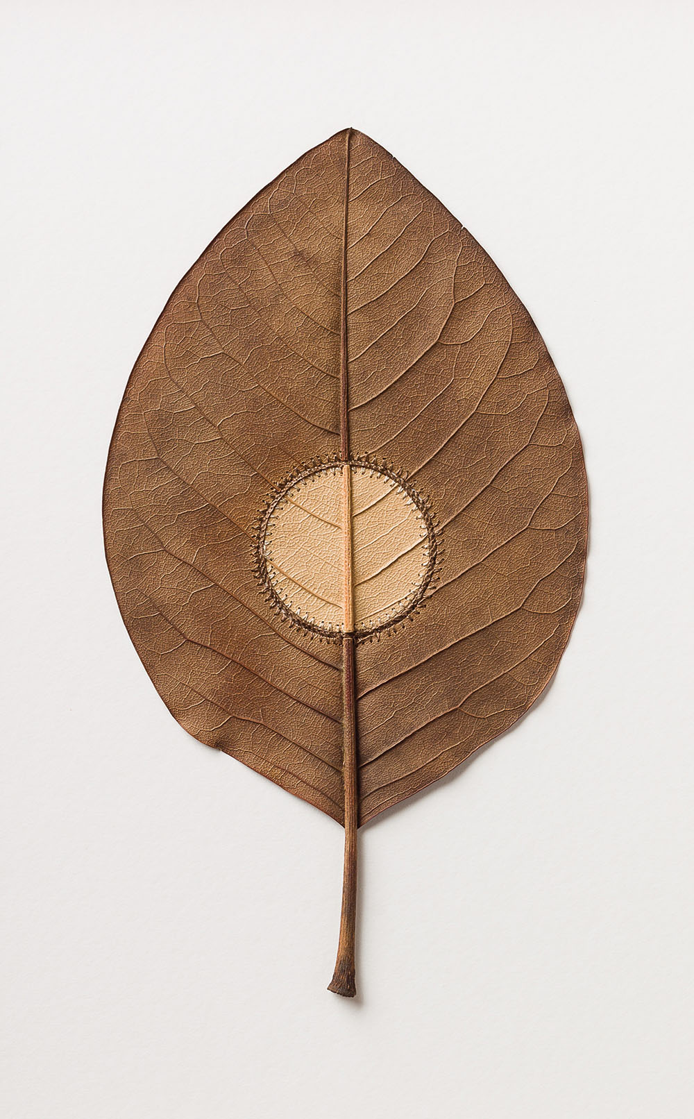 Crocheted Leaf Sculptures Susanna Bauer 6
