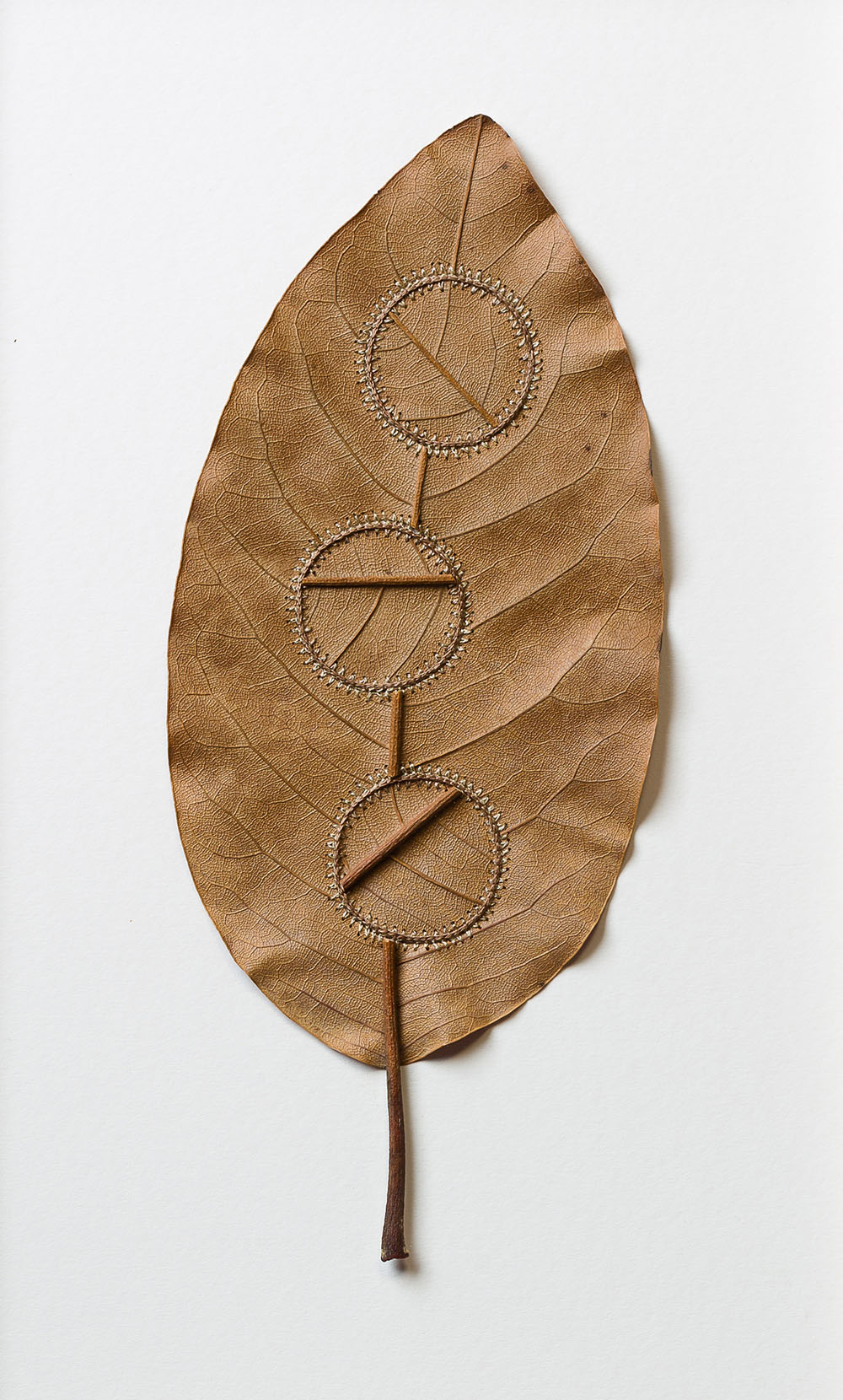 Crocheted Leaf Sculptures Susanna Bauer 8