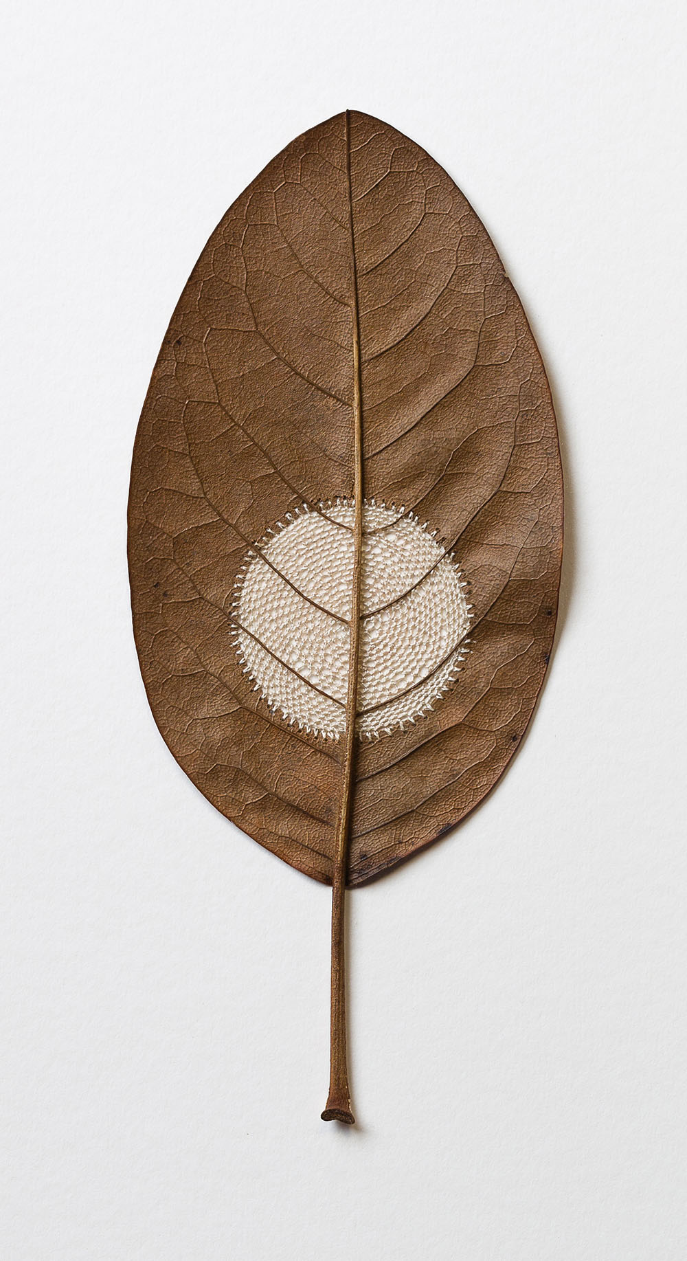 Crocheted Leaf Sculptures Susanna Bauer 9
