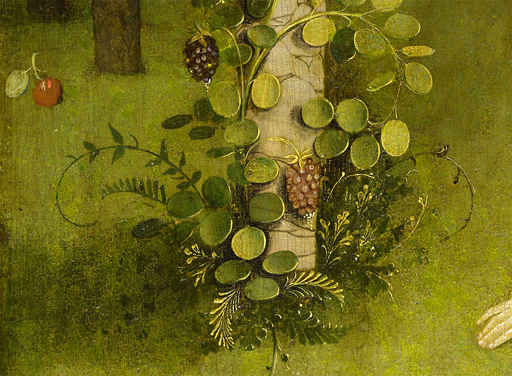Garden of Earthly Delights Bosch Bosco