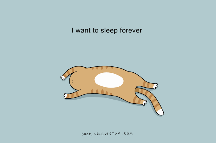 Lingvistov sleep 10