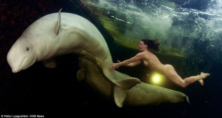 Princesa de las ballenas beluga Natalia Avseenko