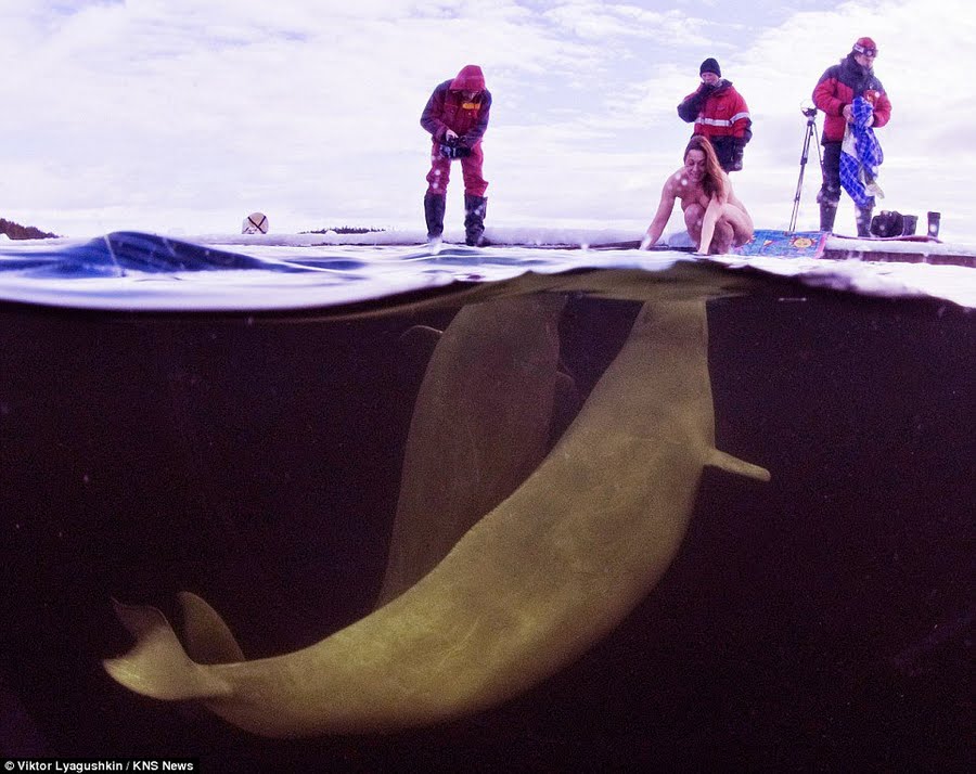 Princesa de las ballenas beluga Natalia Avseenko 3