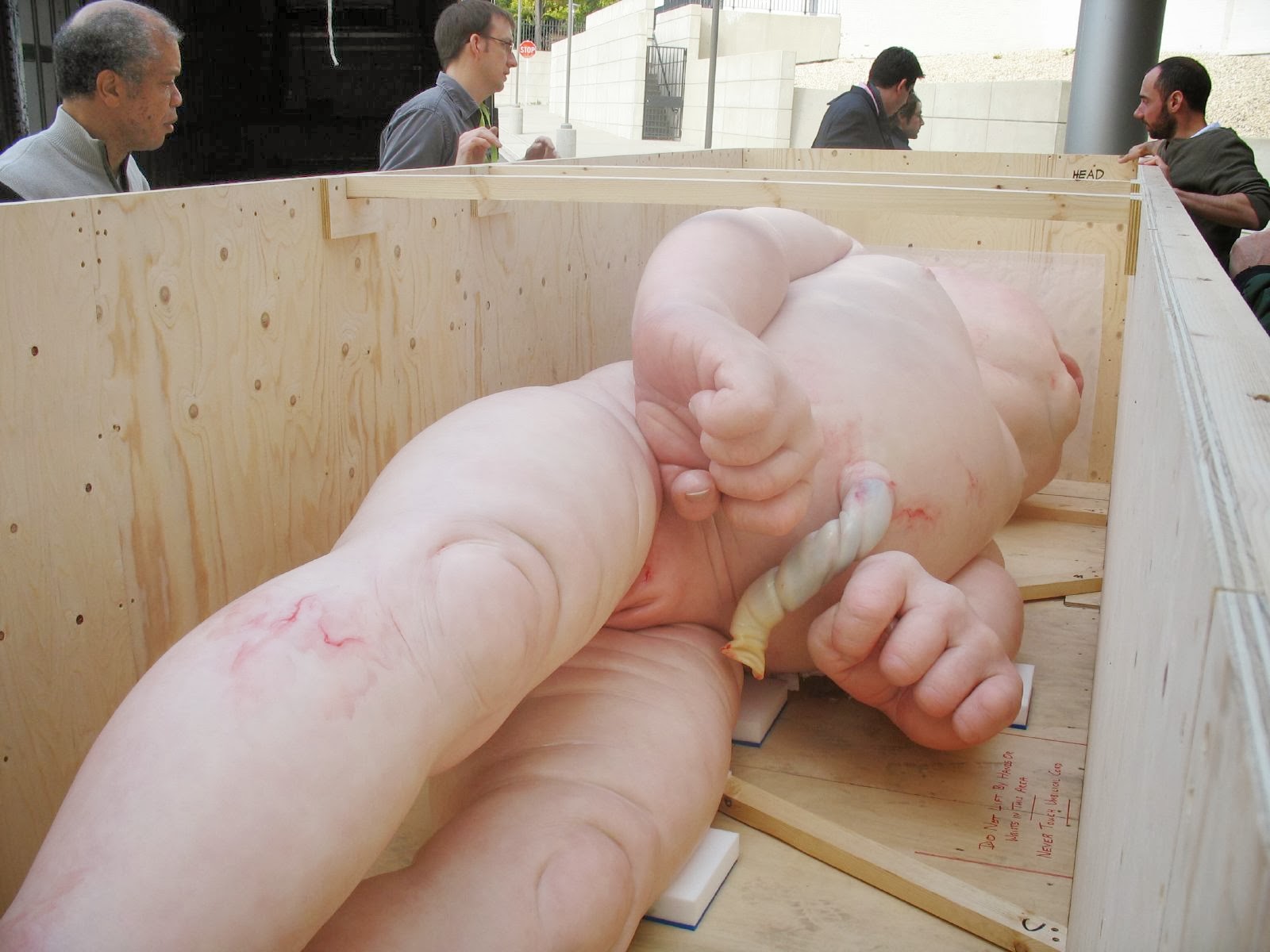 RON MUECK7