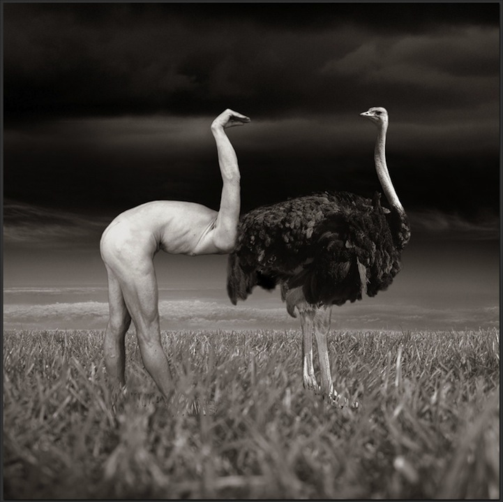 Thomas Barbey surrealismo