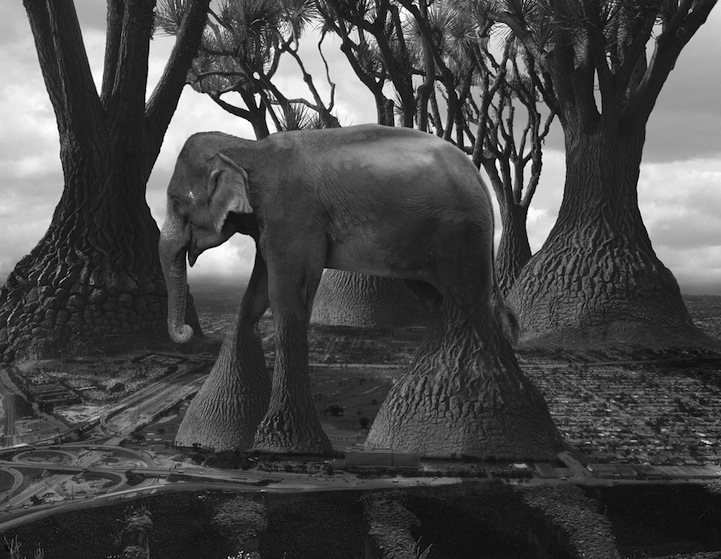 Thomas Barbey surrealismo 4