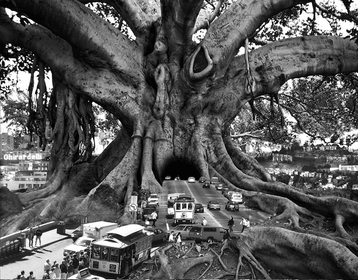 Thomas Barbey surrealismo 9