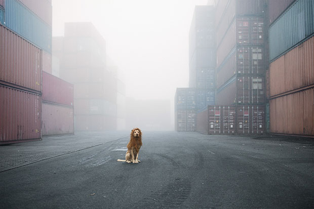 Tschikko Leopold von Werner Julia Marie Werner perro leon