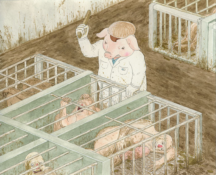 derechos de los animales 11