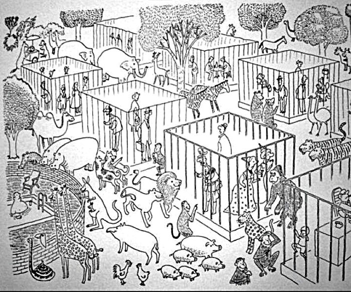 derechos de los animales 25