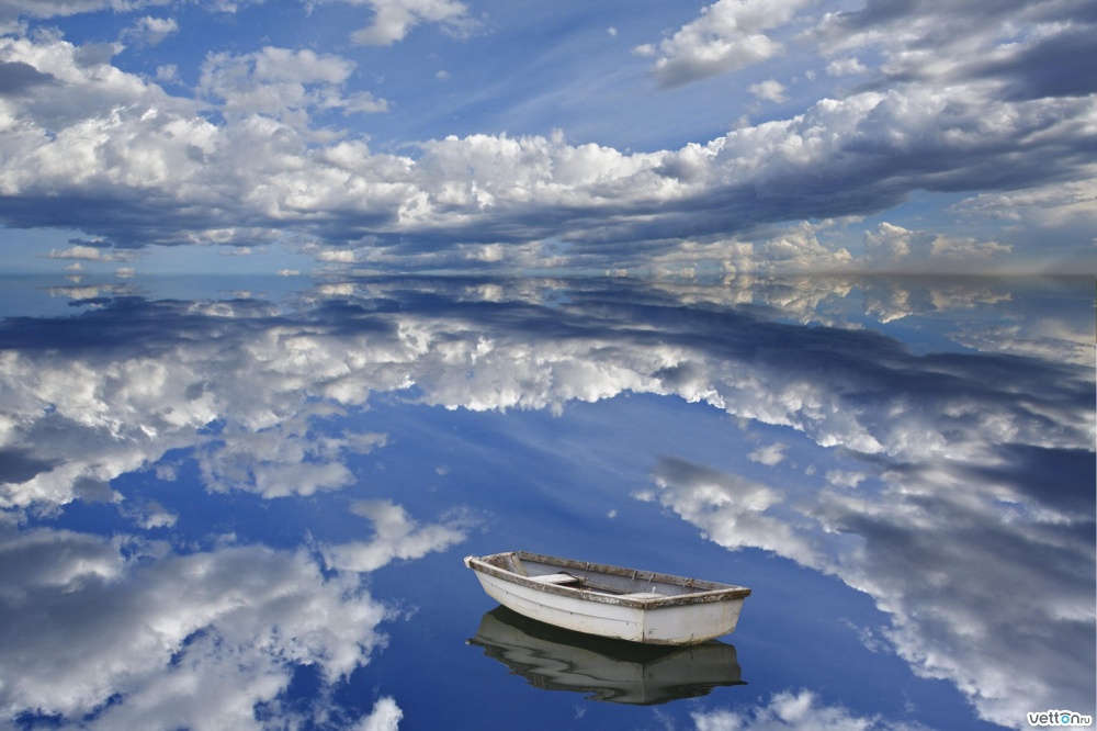 fascinantes sorprendentes fotografias 20