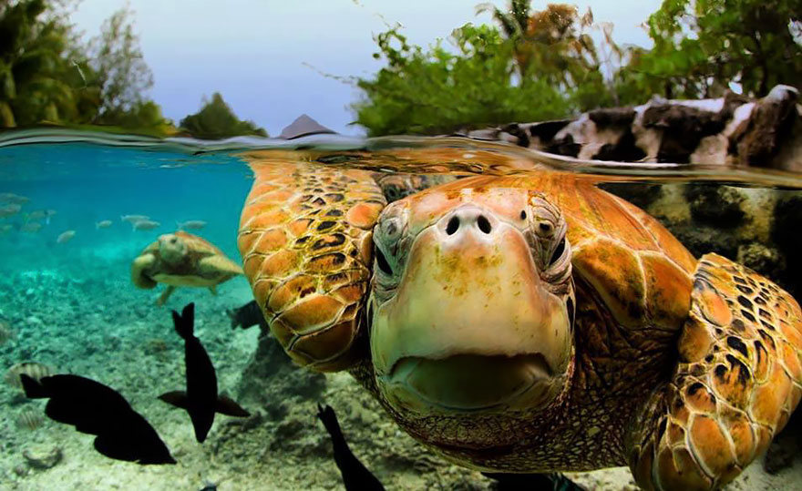 fotografias semisubmarinas11