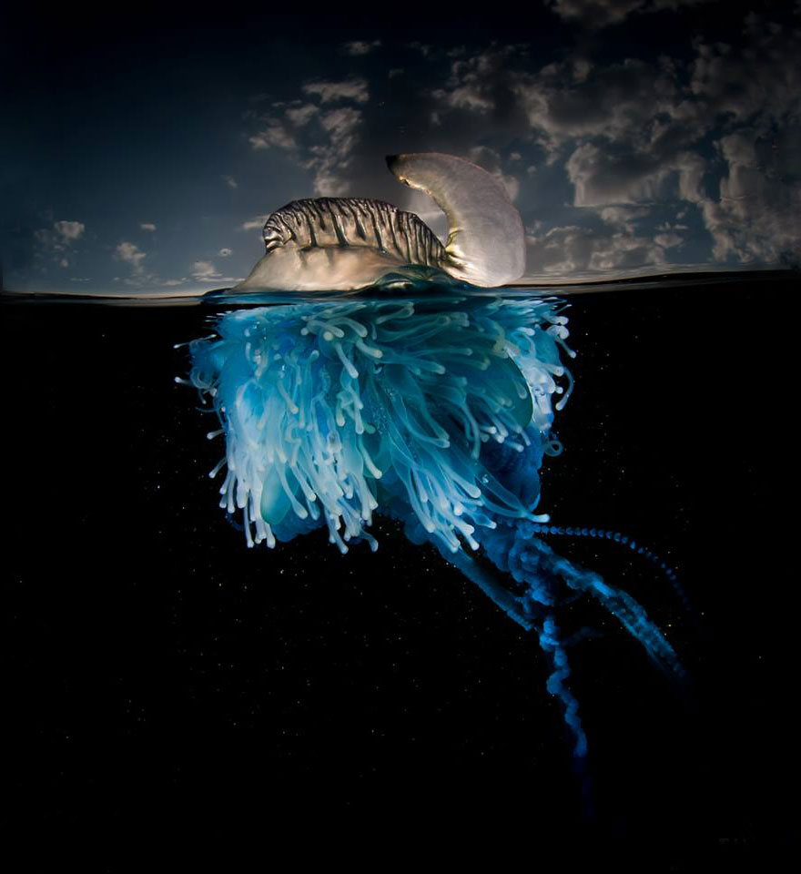 fotografias semisubmarinas15