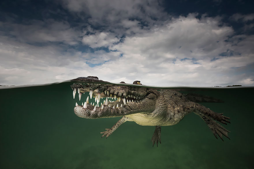 fotografias semisubmarinas17