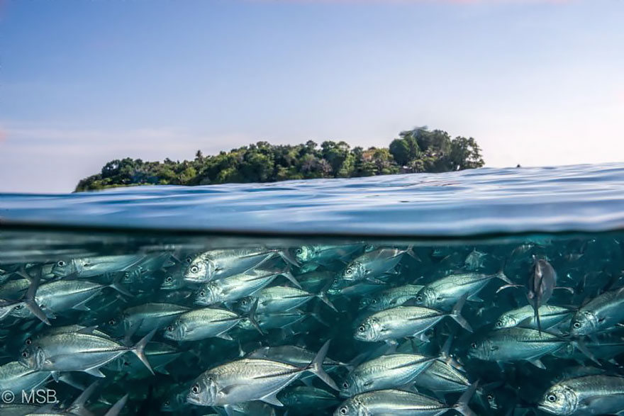 fotografias semisubmarinas19