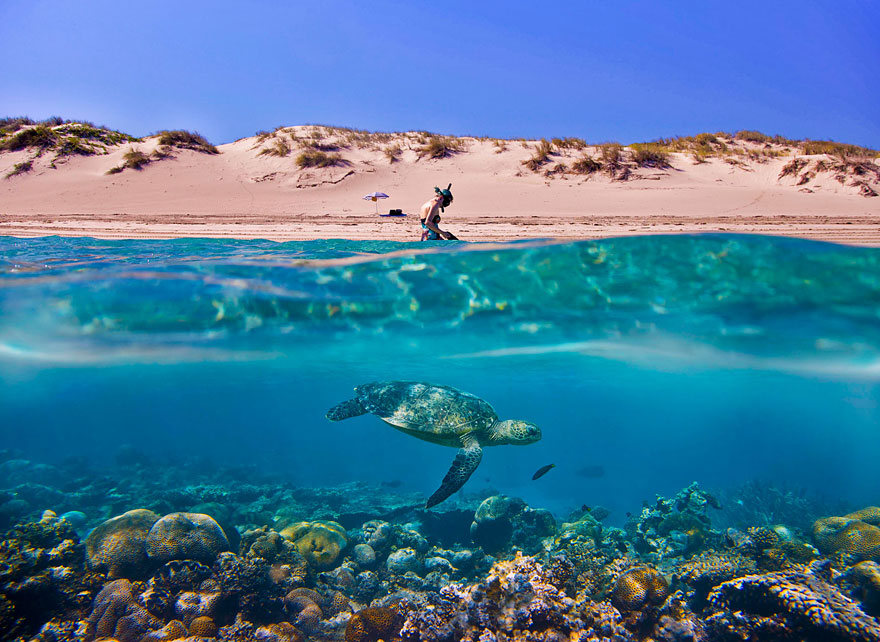 fotografias semisubmarinas21