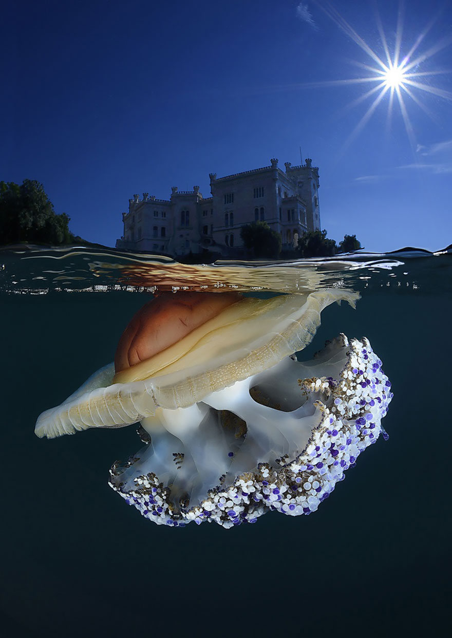 fotografias semisubmarinas22