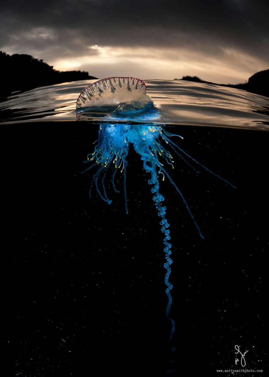 fotografias semisubmarinas23
