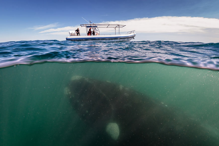 fotografias semisubmarinas26