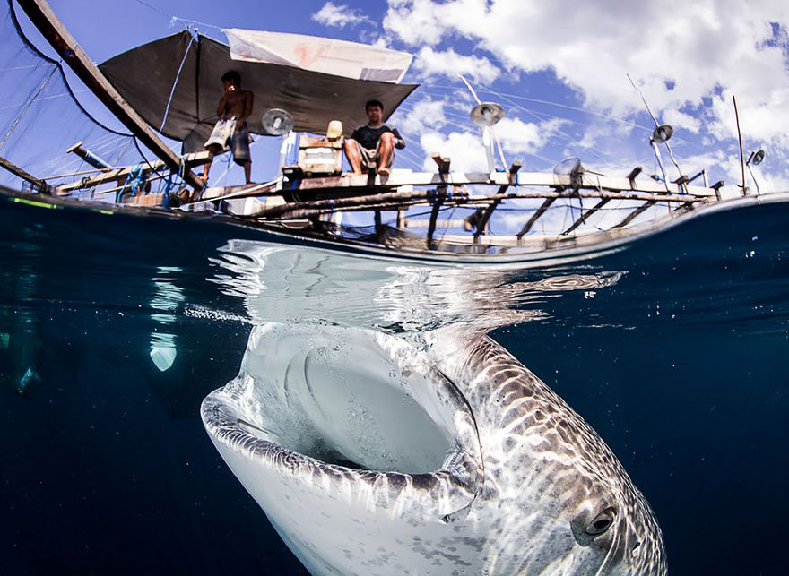 fotografias semisubmarinas29