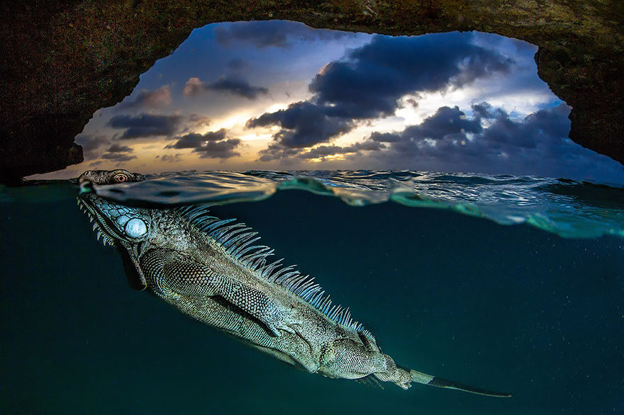 fotografias semisubmarinas30