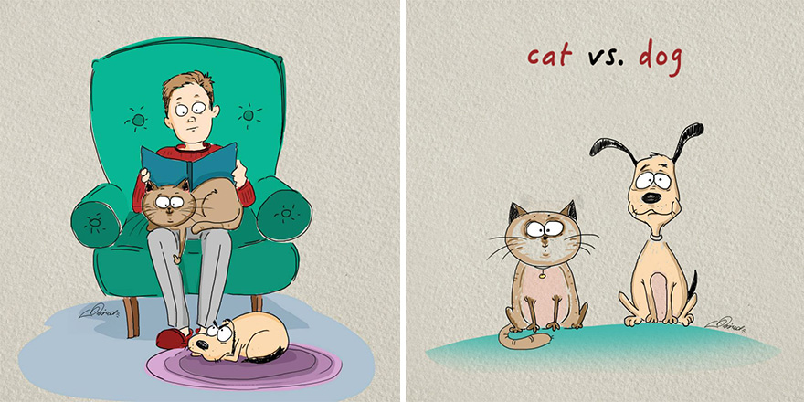 gatos vs perros culturainquieta
