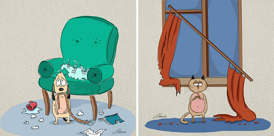 gatos vs perros culturainquieta1