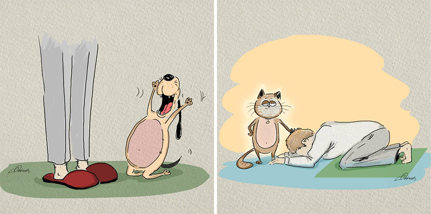 gatos vs perros culturainquieta4