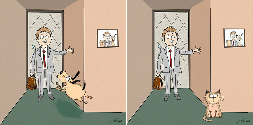 gatos vs perros culturainquieta6