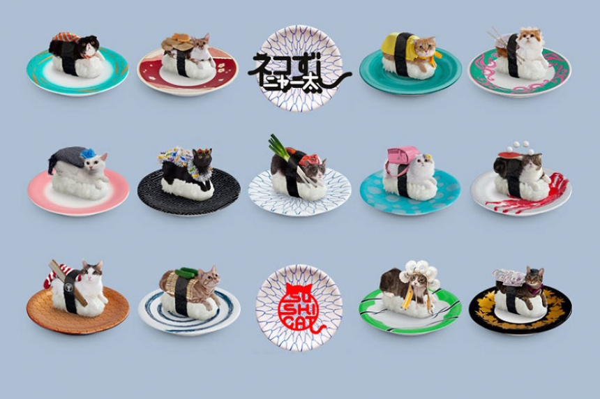 sushicat culturainquieta13
