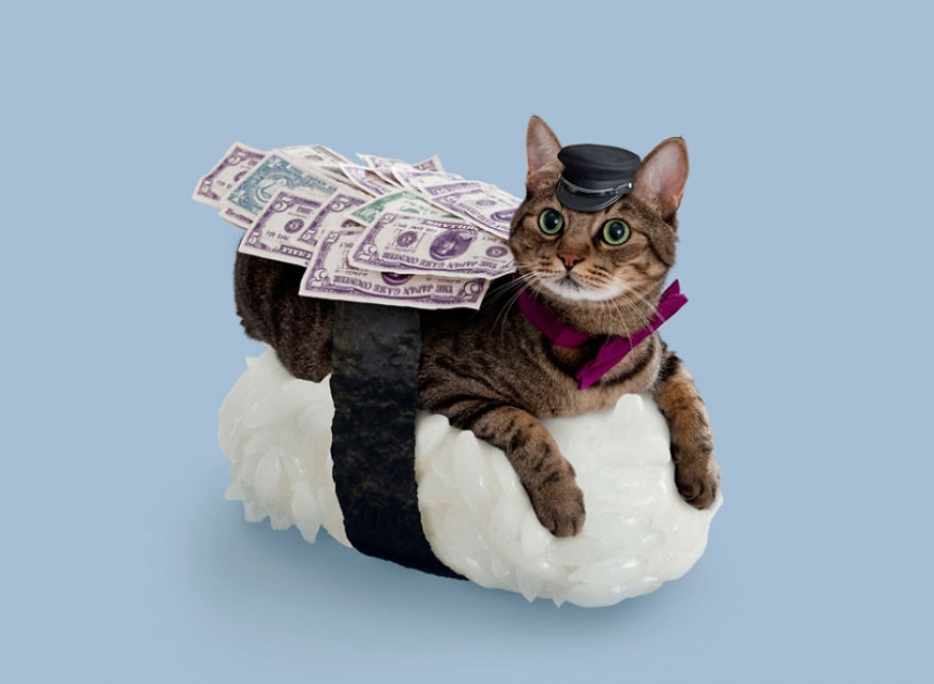sushicat culturainquieta3