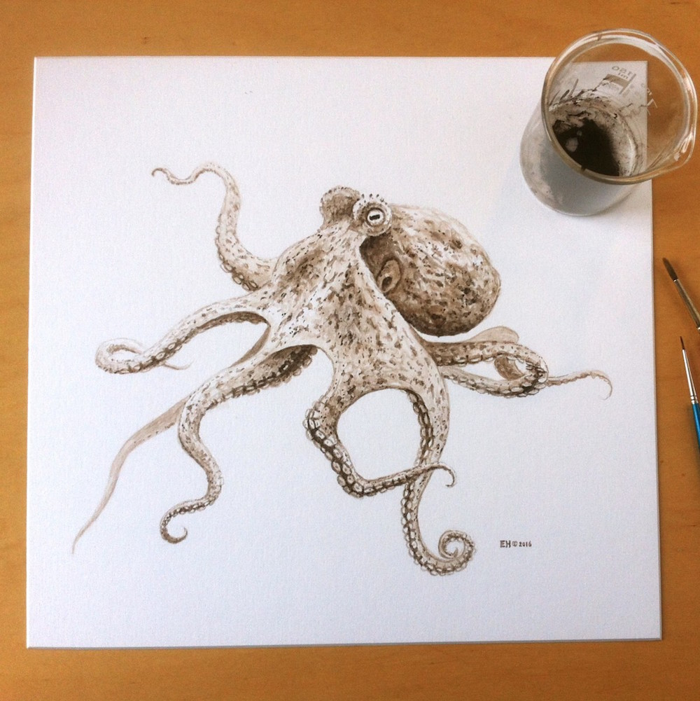 Esther van Hulsen pulpo pintado tinta 3