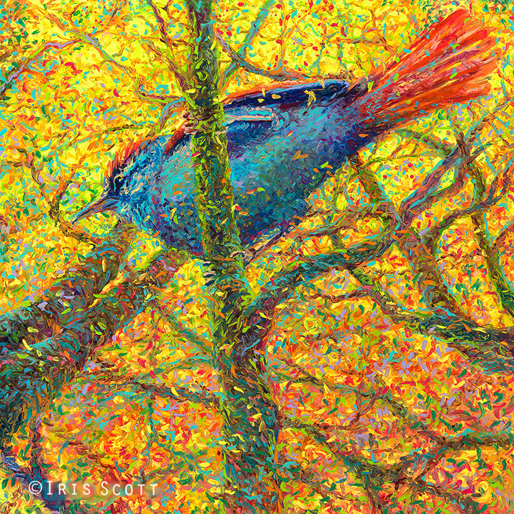 Iris Scott finger painting7