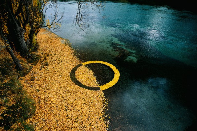 Martin Hill nature Art Installation17