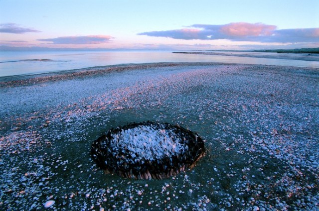 Martin Hill nature Art Installation21